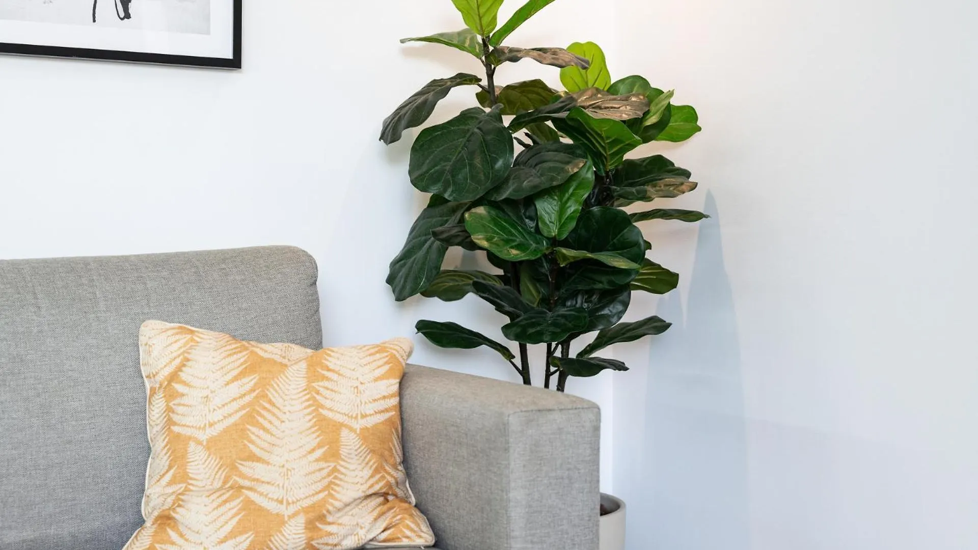 Apartamento En El Palo Malaga 0*,
